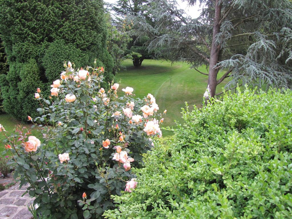 Gite Broceliande Baulon Стая снимка